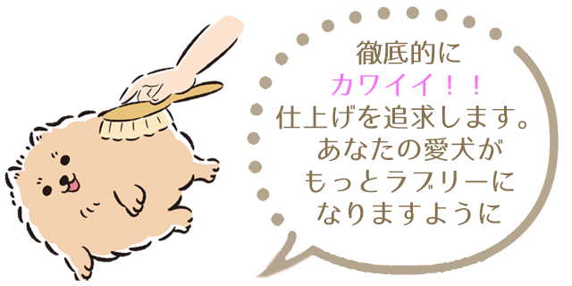 徹底的にカワイイ！！仕上げを追求します。あなたの愛犬がもっとラブリーになりますように