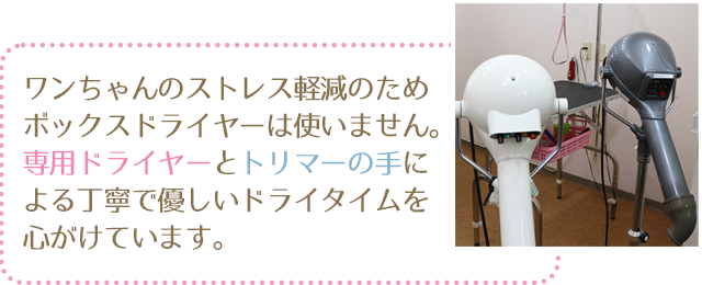 ワンちゃんのストレス軽減のためボックスドライヤーは使いません。専用ドライヤーとトリマーの手による丁寧で優しいドライタイムを心がけています。