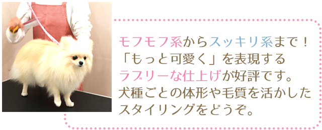 モフモフ系からスッキリ系まで！「もっと可愛く」を表現するラブリーな仕上げが好評です。犬種ごとの体形や毛質を活かしたスタイリングをどうぞ。