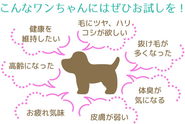 こんなワンちゃんにはぜひお試しを！「毛にツヤ、ハリ、コシが欲しい」「抜け毛が多くなった」「体臭が気になる」「皮膚が弱い」「お疲れ気味」「高齢になった」「健康を維持したい」